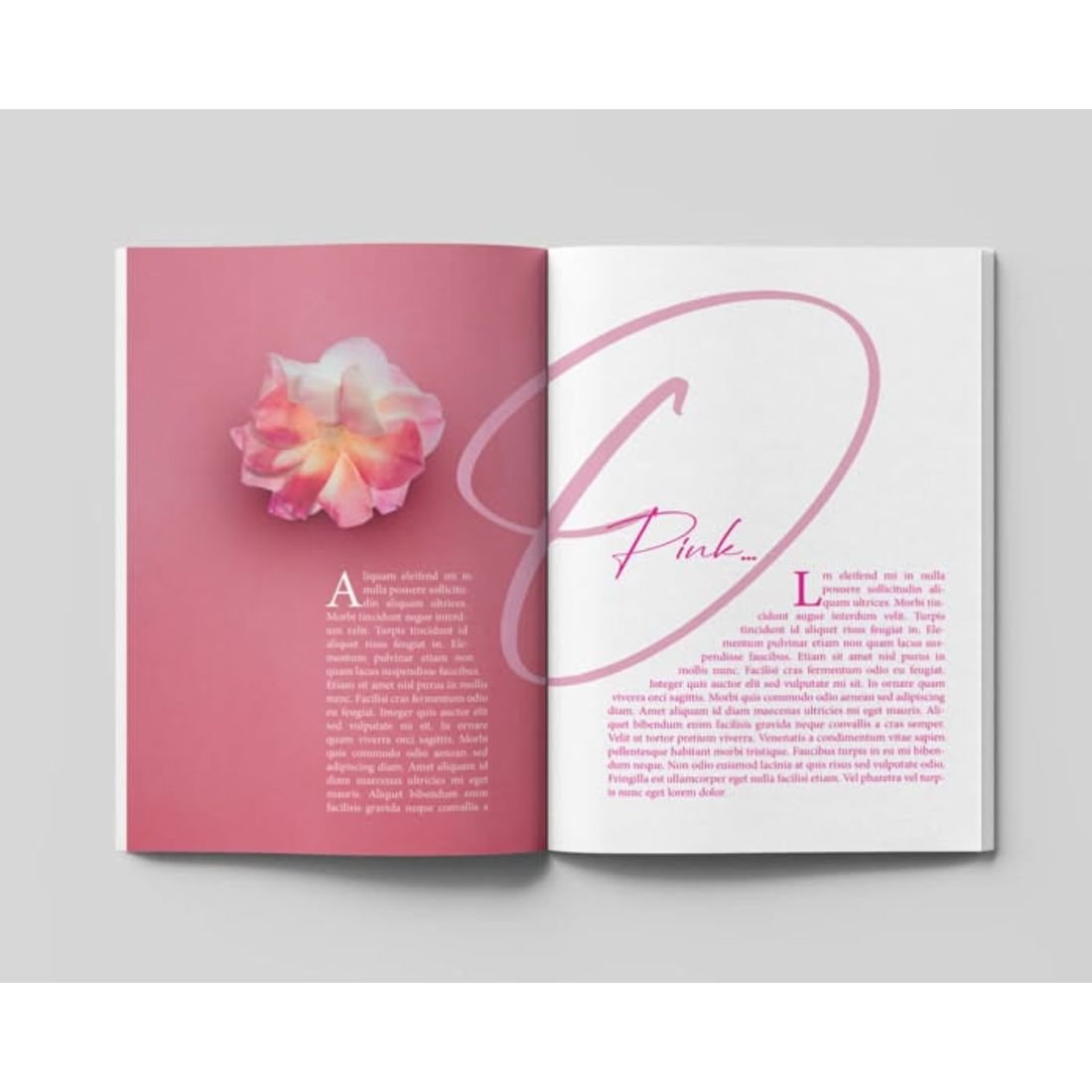 Full-bleed image spread, book interior formatting