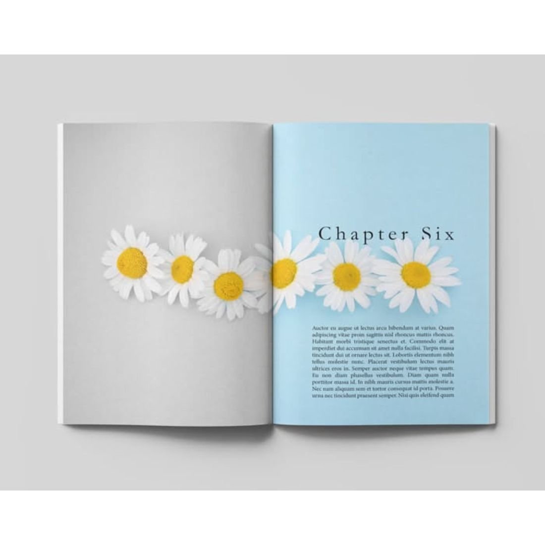 Photographic opener, book interior formatting